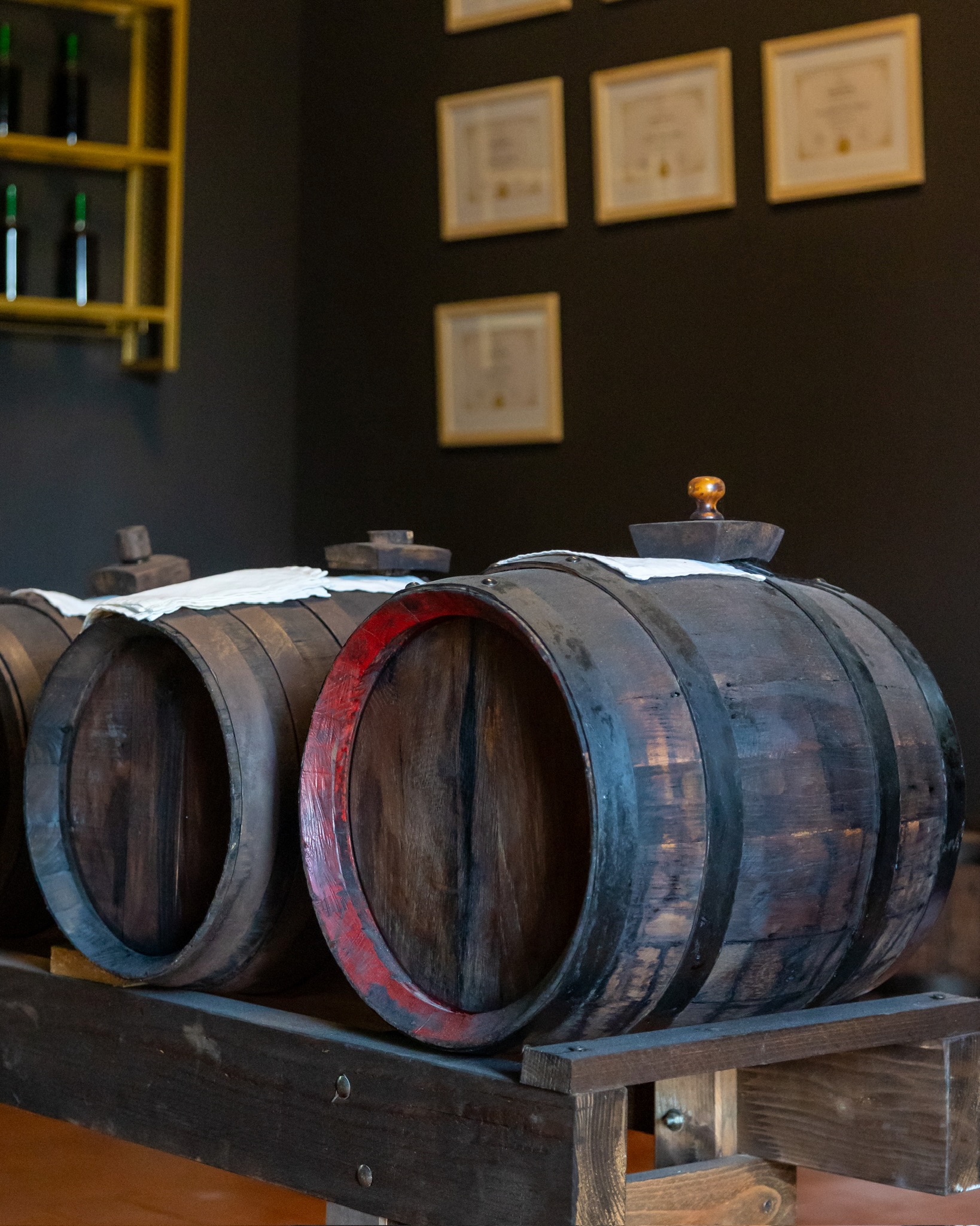 Aceto balsamico Oria — Tempus Manet