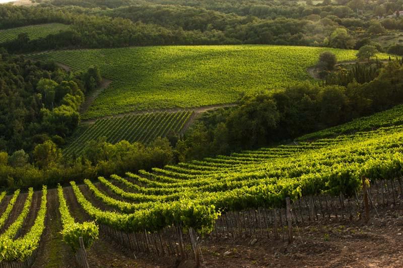 Oria wird zwei Jahre alt — Eigentümergemeinschaft im Val d'Orcia