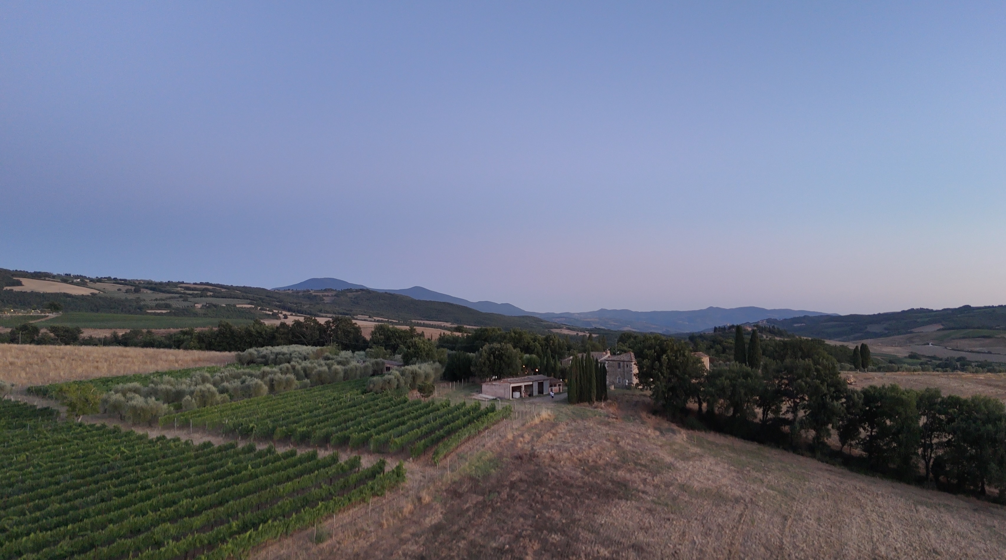 Viñedo de Oria en Val d'Orcia durante el día