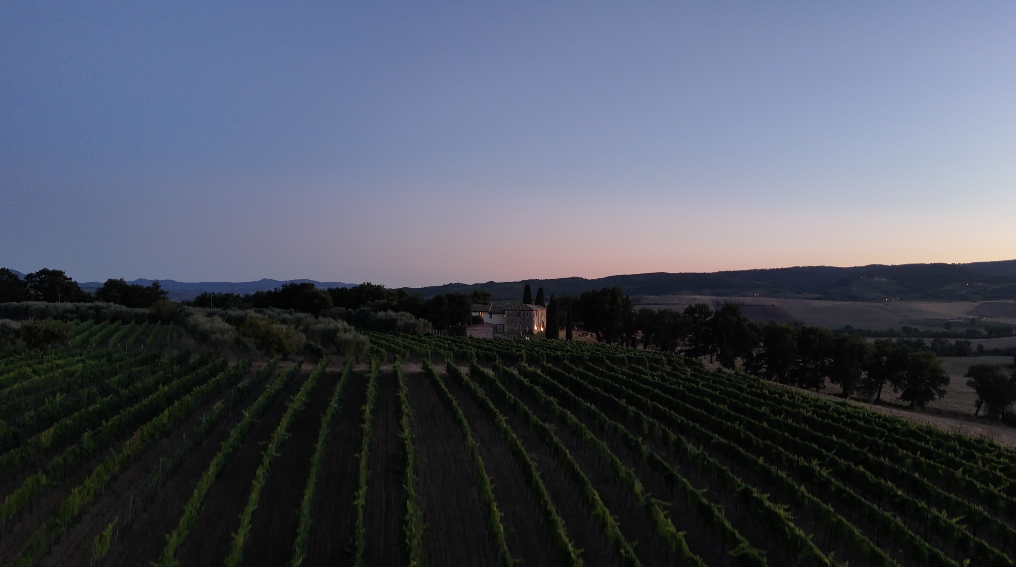 Viñedo de Oria en Val d'Orcia al anochecer