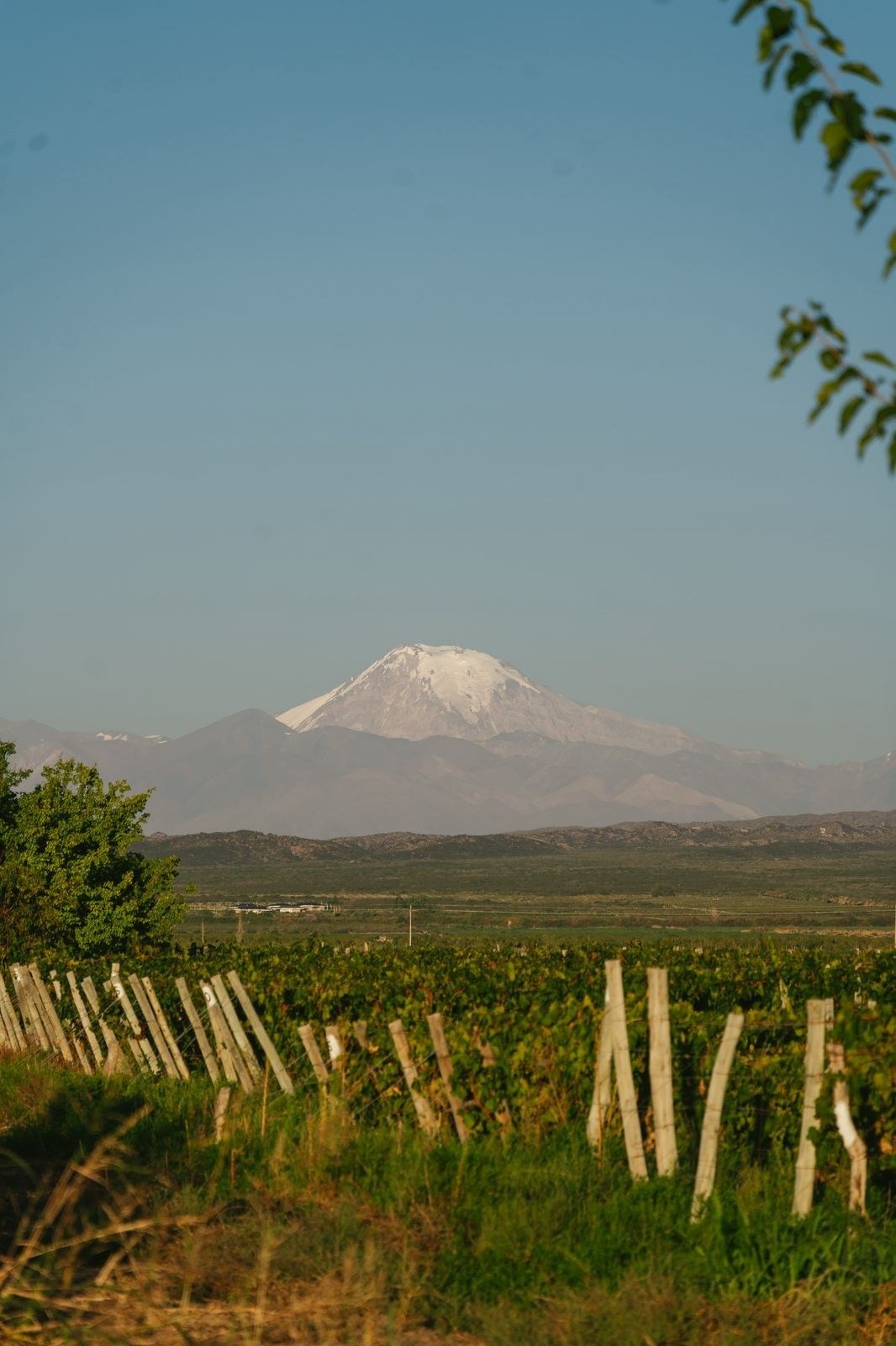 Valle de UCO, Mendoza