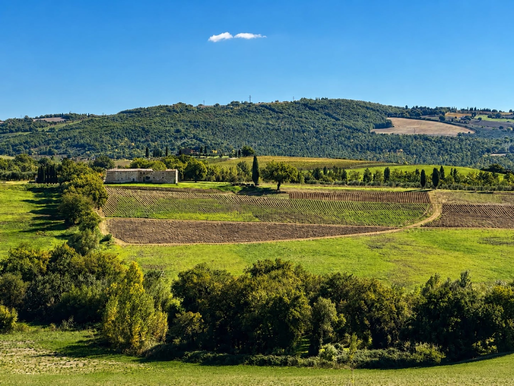 Vista panorámica diurna del viñedo de Oria con la casona y las colinas de Val d'Orcia