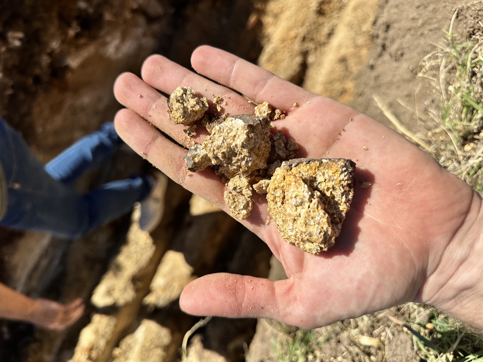 Rocas basálticas del suelo de Chacras de las Cañas — terroir Uruguay